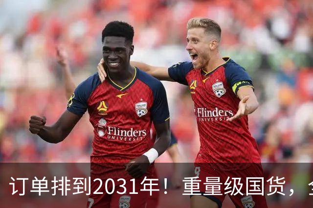 订单排到2031年！重量级国货，全球爆单